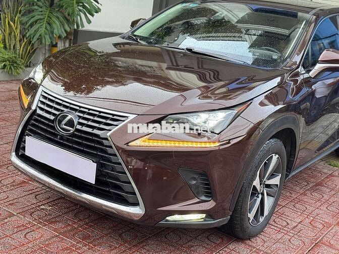 Lexus Nx300 cao cấp Thể Thao & Sang Trọng đk 2019