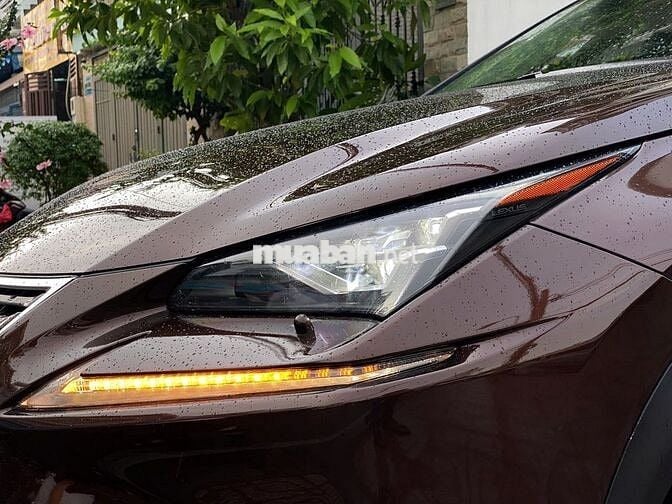 Lexus Nx300 cao cấp Thể Thao & Sang Trọng đk 2019