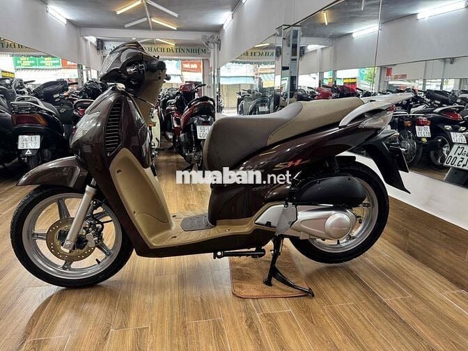 Sh 150 màu nâu soôcla 2009 bstp