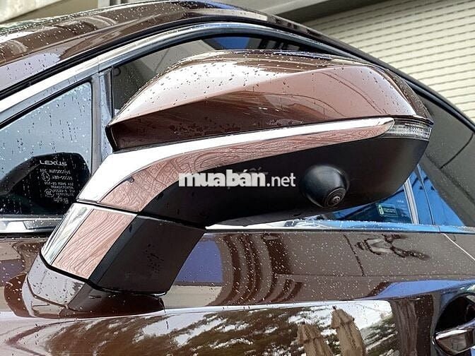 Lexus Nx300 cao cấp Thể Thao & Sang Trọng đk 2019