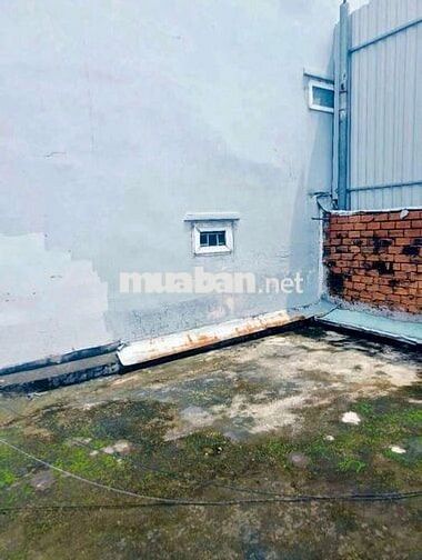 Cho thuê nguyên căn cấp 4 mới sạch sẽ, có sân thượng, Đs 51 p14 Gò vấp