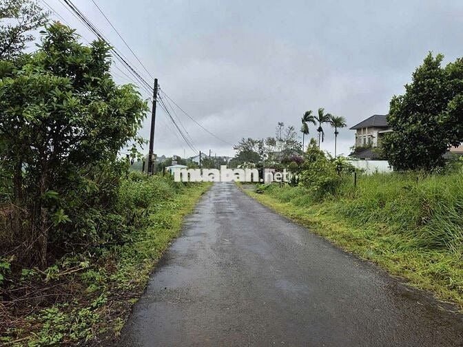 Bán Đất hơn 1000m2 mặt tiền Trần Nhật Duật giá đầu tư