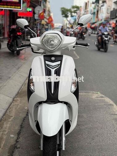 Grande bản màu trắng nguyên rin