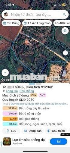 chính chủ bể ngộp cắt lỗ mãnh vườn cây ăn trái tâm huyết