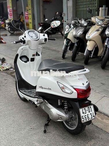Grande bản màu trắng nguyên rin