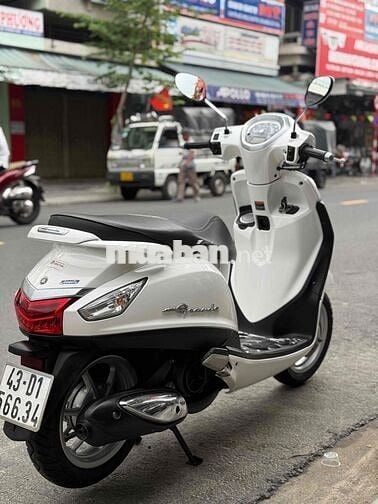 Grande bản màu trắng nguyên rin