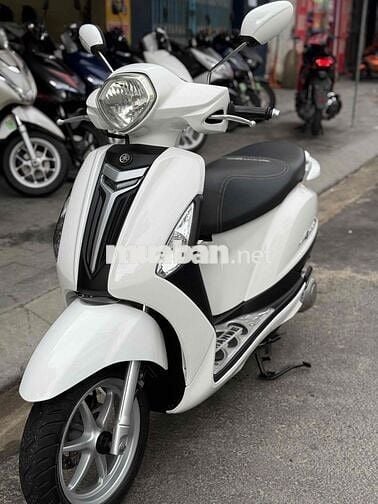 Grande bản màu trắng nguyên rin