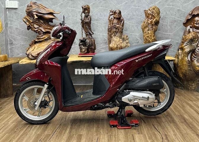 Vision đẹp, máy êm thì thầm bao vọt biển SG