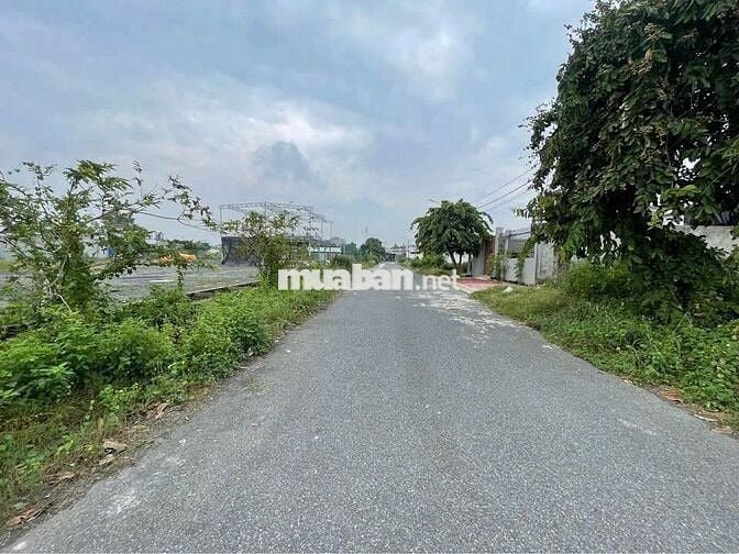 💎ĐẤT NGỘP ĐỂ LẠI – MT LƯU KHAI HỒNG, TT CỦ CHI 200m² GIÁ HỜI 400TR💎