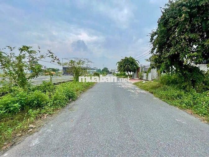 💎ĐẤT NGỘP ĐỂ LẠI – MT LƯU KHAI HỒNG, TT CỦ CHI 200m² GIÁ HỜI 400TR💎