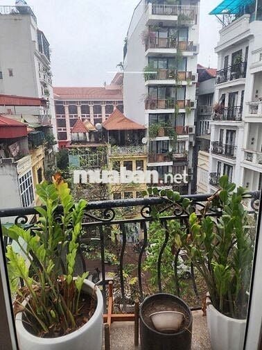 Cho thuê studio 45m2 Tôn Thất Thiệp full đồ có ban công, giá 8,5 triệu