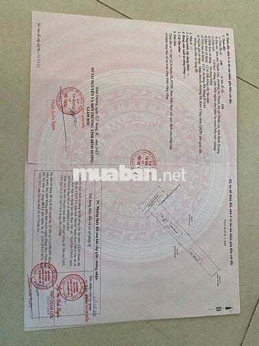 Ban đat duong xe tai lon phuong an thanh thuan an binh duong