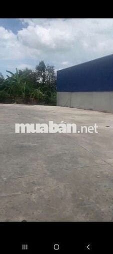 Ban đat duong xe tai lon phuong an thanh thuan an binh duong