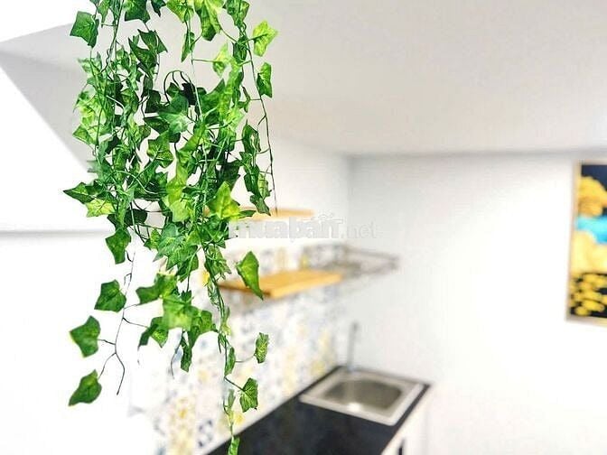 ✨ PHÒNG TRỌ CAO CẤP GIÁ RẺ  CÓ GÁC FULL NT  TÂN BÌNH  –  VÀO Ở NGAY✨