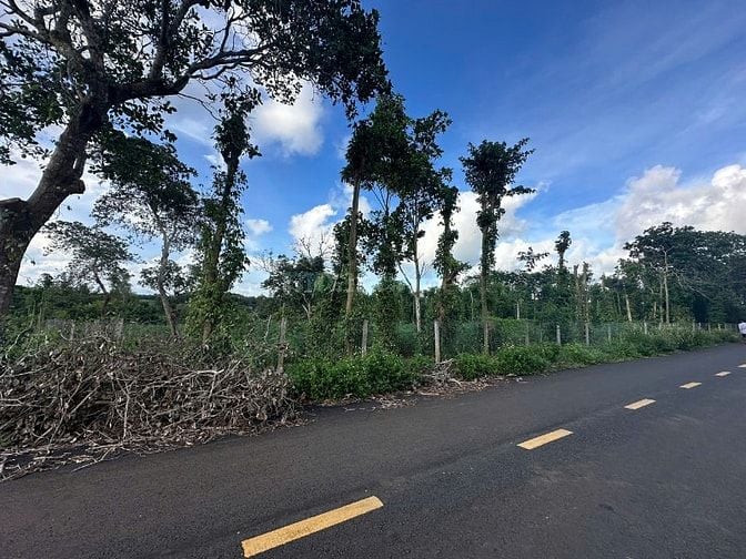 Bán đất tại ĐT 328, Bàu Lâm, Xuyên Mộc, Bà Rịa Vũng Tàu, giá cực chất 
