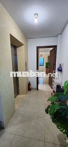Cho thuê CCMN 25m2 Ngõ 168 Kim Giang (Gần chợ Kim Giang)
