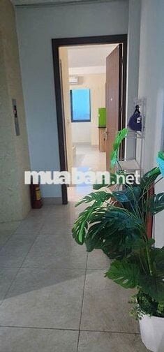 Cho thuê CCMN 25m2 Ngõ 168 Kim Giang (Gần chợ Kim Giang)