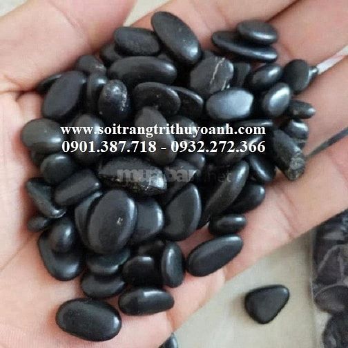 Thùy Oanh chuyên cung cấp dòng sỏi đen bóng