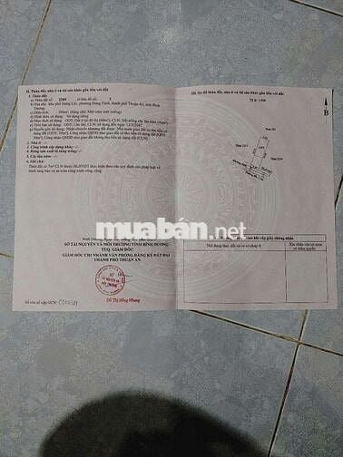 Ban đat phuong hung đinh duong oto...gan cho bung ,truong hoc,ubnd