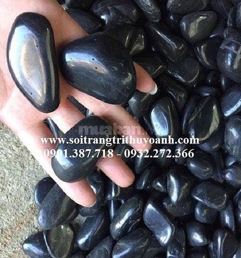 Thùy Oanh chuyên cung cấp dòng sỏi đen bóng