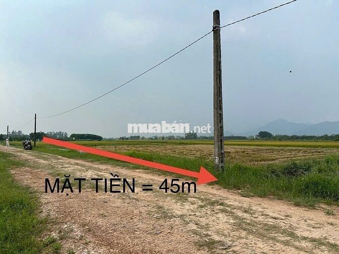 ❤️🔥Bán 1642m2 Đất Ruộng Hiền Ninh - LÔ GÓC – Sát Trục Chính Thông Ô Tô ❤️🔥Bán 1642m2 Đất Ruộng Hiền Ninh - LÔ GÓC – Sát Trục Chính Thông Ô Tô