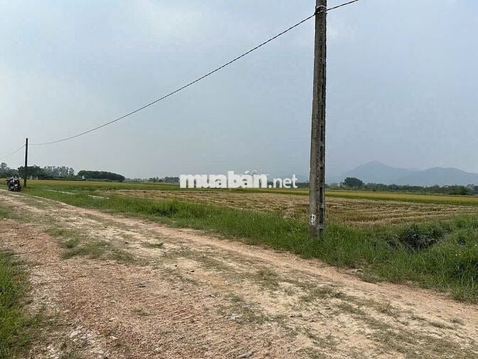 ❤️🔥Bán 1642m2 Đất Ruộng Hiền Ninh - LÔ GÓC – Sát Trục Chính Thông Ô Tô