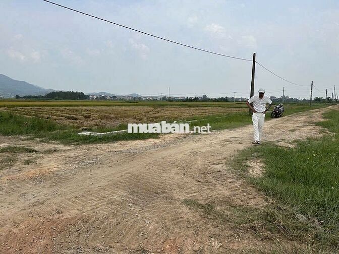 ❤️🔥Bán 1642m2 Đất Ruộng Hiền Ninh - LÔ GÓC – Sát Trục Chính Thông Ô Tô