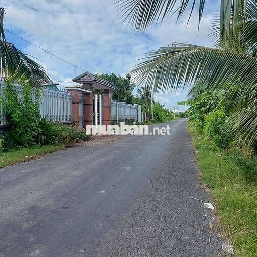 Đất ở đô thị phường Long An, tỉnh Tây Ninh