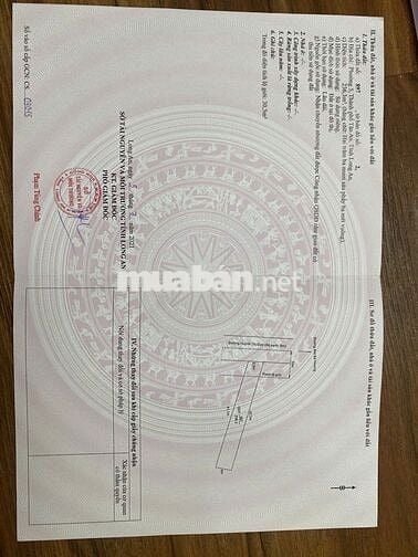 Đất ở đô thị phường Long An, tỉnh Tây Ninh