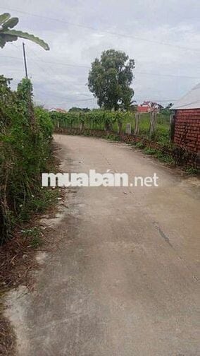 Em có lô đất cần bán ở Hàm Thuận Nam (km37 )