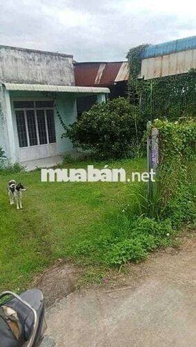 Em có lô đất cần bán ở Hàm Thuận Nam (km37 )