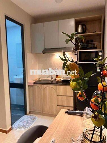 Phòng To  – Bếp, WC  Riêng – Thuận Tiện Đi Lại Các Trường ĐH