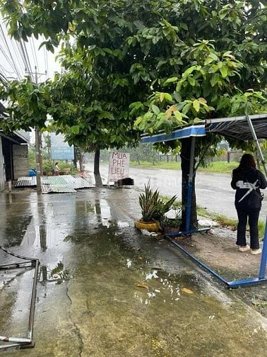 CẦN BÁN GẤP DÃY TRỌ THU NHẬP TRÊN 200 TRIỆU/ NĂM NGAY CHỢ BỜ NGỰA GIÁ 