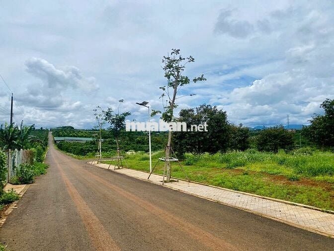 CHÍNH CHỦ Cần Bán Nhanh Lô Đất  Vị Trí Tại Huyện Di Linh,Tỉnh Lâm Đồng