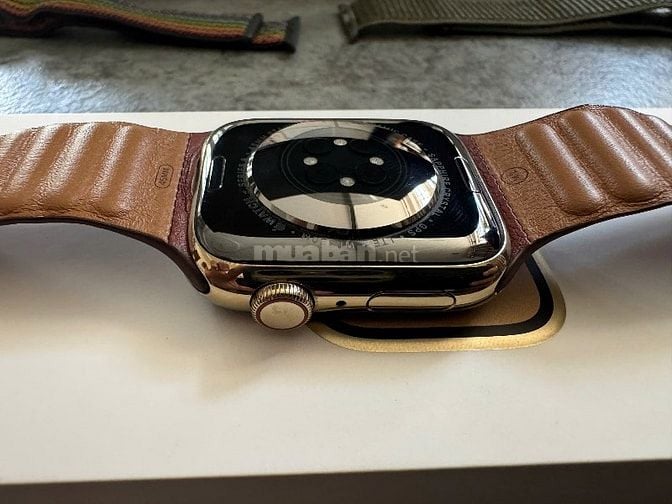 Apple Watch Series 8 GPS, Cellular, 45mm vàng đồng