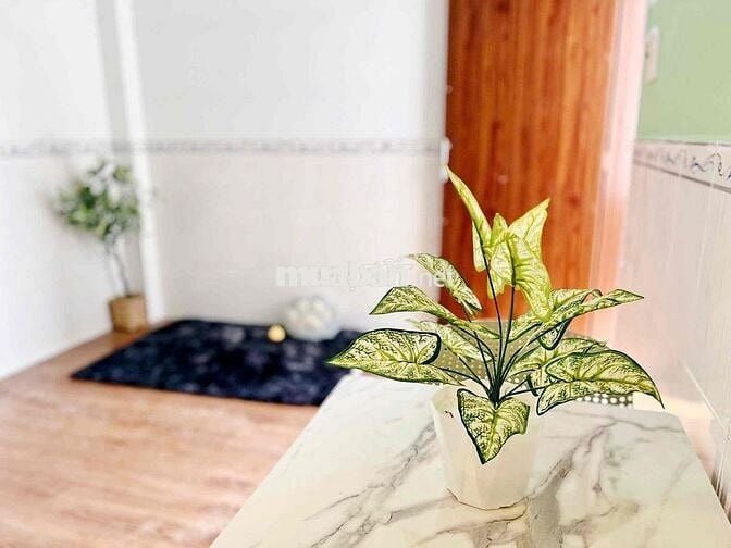 ✨✨Phòng Trọ Có Gác Đầy Đủ Nội Thất Bancol Thoáng ngay Nguyễn Thị Tú