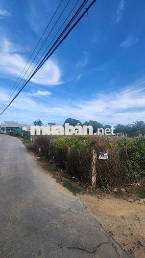 BÁN LÔ ĐẤT 2 MẶT TIỀN ĐƯỜNG OTO, PHƯỜNG VĂN HẢI. PHAN RANG THÁP CHÀM.