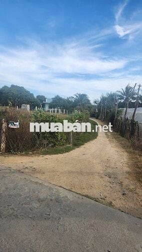 BÁN LÔ ĐẤT 2 MẶT TIỀN ĐƯỜNG OTO, PHƯỜNG VĂN HẢI. PHAN RANG THÁP CHÀM.