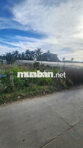 BÁN LÔ ĐẤT 2 MẶT TIỀN ĐƯỜNG OTO, PHƯỜNG VĂN HẢI. PHAN RANG THÁP CHÀM.