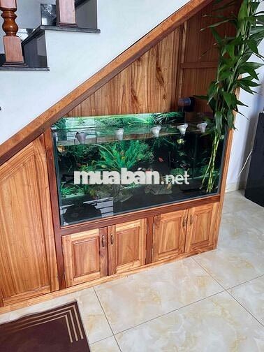 Cho thuê nhà full nội thất, ưu tiên thuê lâu dài, có vườn rau và bể cá