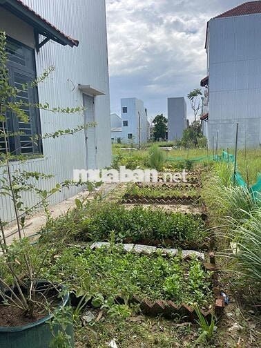 Cho thuê nhà full nội thất, ưu tiên thuê lâu dài, có vườn rau và bể cá