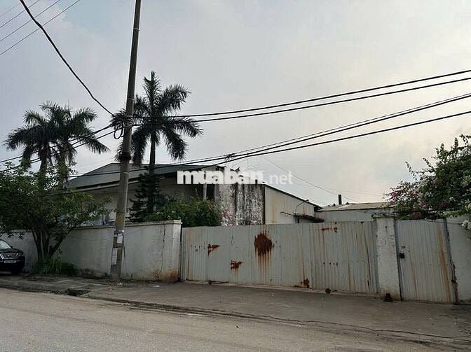 🏭 BÁN KHO XƯỞNG SIÊU RỘNG 8100M –  PHÚ XUYÊN  HÀ NỘI 🏭