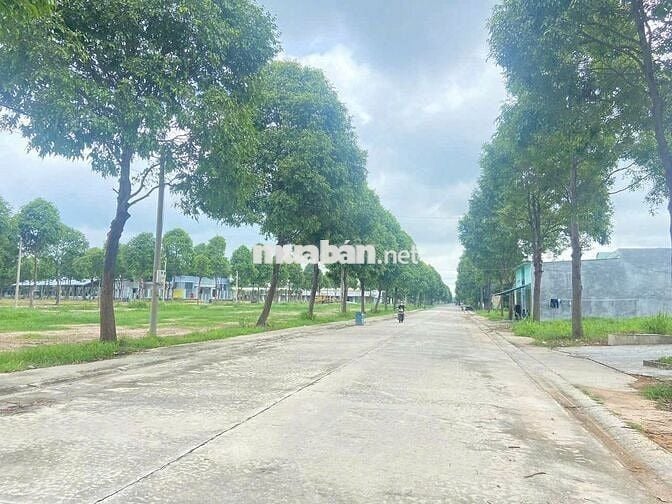 Đất mặt đường D14 sau toàn hành chính bàu bàng - sổ sẵn