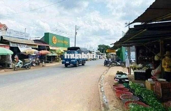 Chủ cần tiền xoay việc gấp, bán nhanh trong tuần.