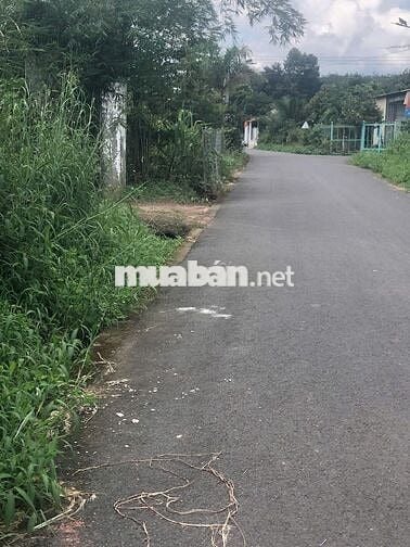 Sang đất MT DT742 giá rẻ, công chứng ngay
