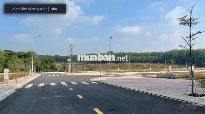 Sang đất MT DT742 giá rẻ, công chứng ngay
