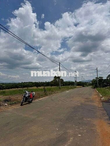 LÔ ĐẤT SIÊU  ĐẸP GIÁ CỰC ƯU ĐÃI NGAY GẦN TRUNG TÂM TÂN LẠC