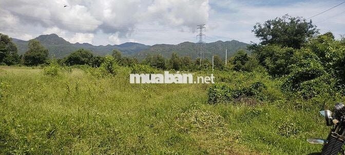 Bán Đất Nhị Hà - Mặt tiền đường bê tông