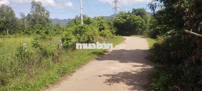 Bán Đất Nhị Hà - Mặt tiền đường bê tông