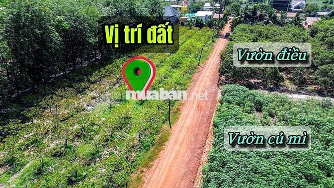 ĐƯỜNG SỎI ĐỎ QUY HOẠCH 20M. TÂN CHÂU- TÂY NINH